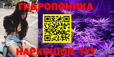 apvp Новодвинск
