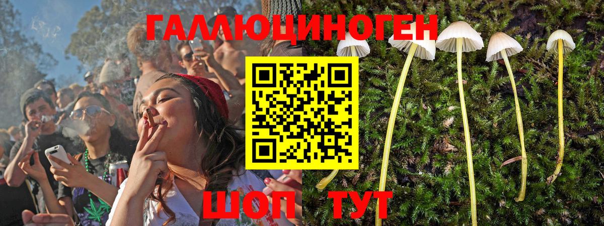 Ревда  Псилоцибиновые грибы мухоморы  как найти закладки  Галлюциногенные грибы MAGIC MUSHROOMS  Вход с VPN 