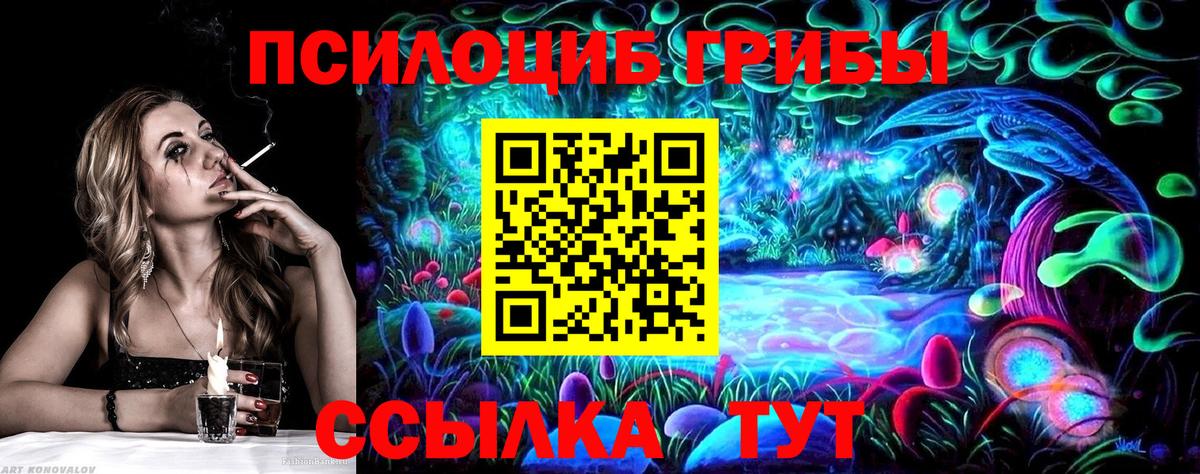 Псилоцибиновые грибы Psilocybine cubensis Ревда